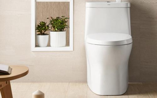 衛生間馬桶.jpg 衛生間馬桶.jpg